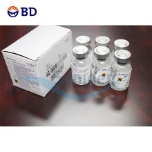 [Difco] Polymyxin B Antimicrobic P, 10mL 232681